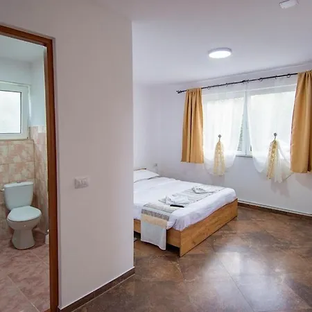 Pensiunea Axenia Ale Bed and breakfast 3*