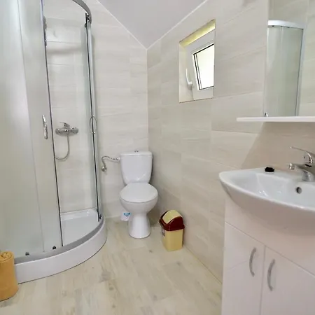 Pensiunea Axenia Ale Bed and breakfast