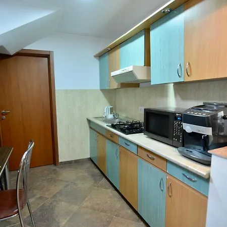 Bed and breakfast Pensiunea Axenia Ale