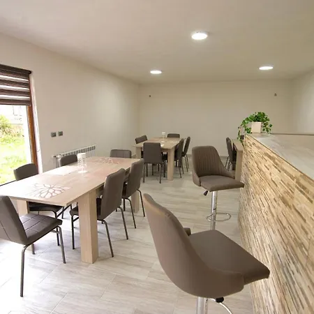 Pensiunea Axenia Ale 3* Vişeu de Sus