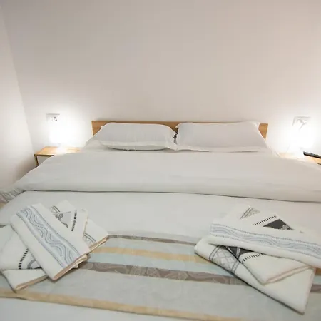 Pensiunea Axenia Ale 3* Vişeu de Sus