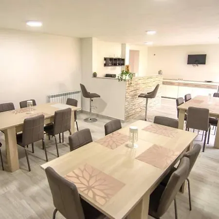 Pensiunea Axenia Ale Bed and breakfast Vişeu de Sus
