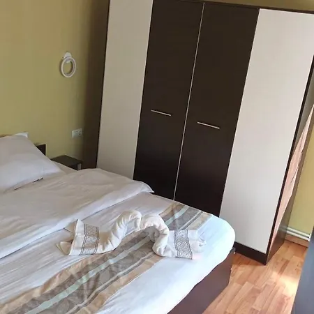 Pensiunea Axenia Ale Bed and breakfast