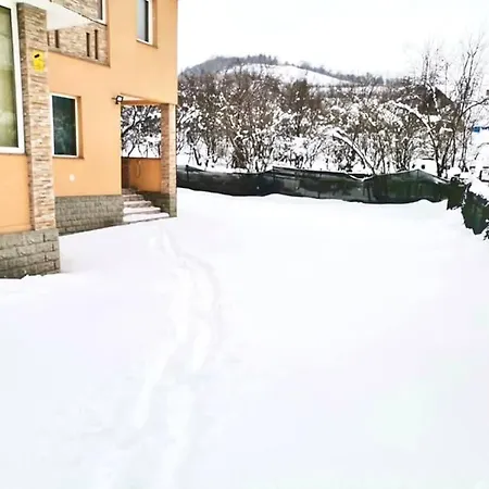 Pensiunea Axenia Ale 3*